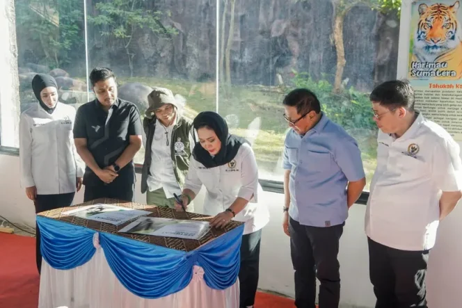 
					Titiek Soeharto Beri Nama Anak Harimau Sumatera di TMSBK Bukittinggi “Rizky” dan “Lestari”