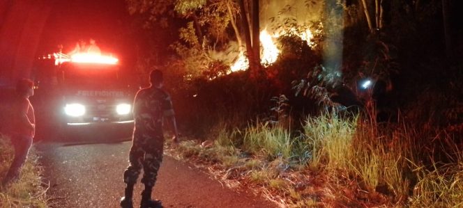 
					Lahan Gambut dan Ilalang Terbakar di Saniang Baka, Petugas Damkar Berjuang Hingga Fajar