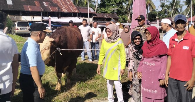 
					Presiden RI Prabowo Subianto Serahkan Bantuan Sapi Kurban Ke Masyarakat Kabupaten Dharmasraya