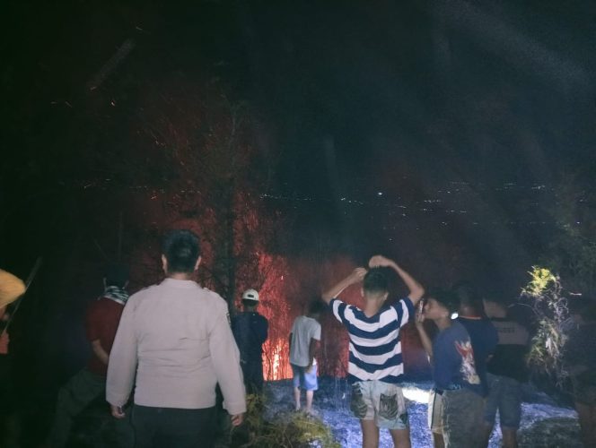 
					Lahan Karet dan Jati Terbakar di Bukit Tandang, 2 Hektare Ludes Dilalap Api