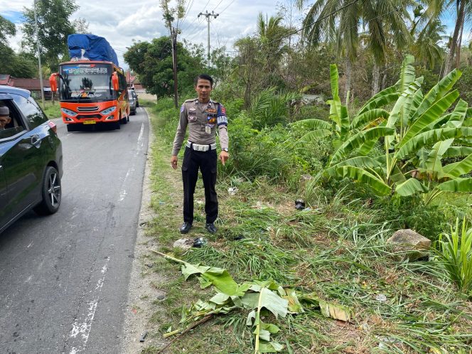 
					Kecelakaan Maut di Jalan Solok-Singkarak, Seorang Pengendara Motor Tewas