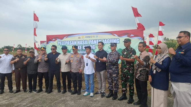 
					Panen Jagung Massal Kuartal III di Solok: Bupati Tegaskan Pentingnya Ketahanan Pangan