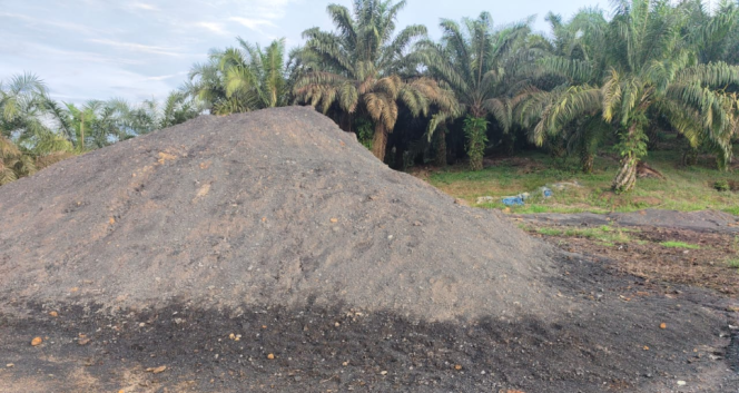 
					Tumpukan Batu Bara Diduga Bekas Penambangan Ilegal di Sekitar Lahan Konsesi PT SAK Dharmasraya